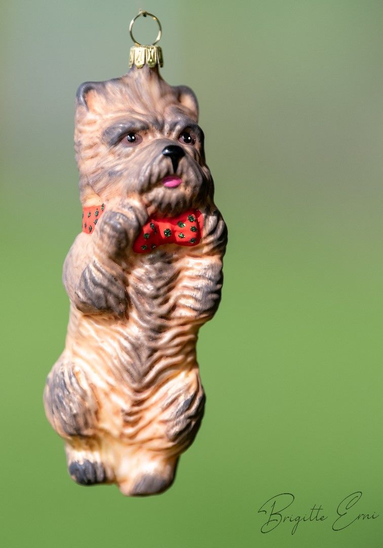 Cairn Terrier Farbe: Braun, Christbaum-Dekoration aus Glas ca. 10 cm hoch