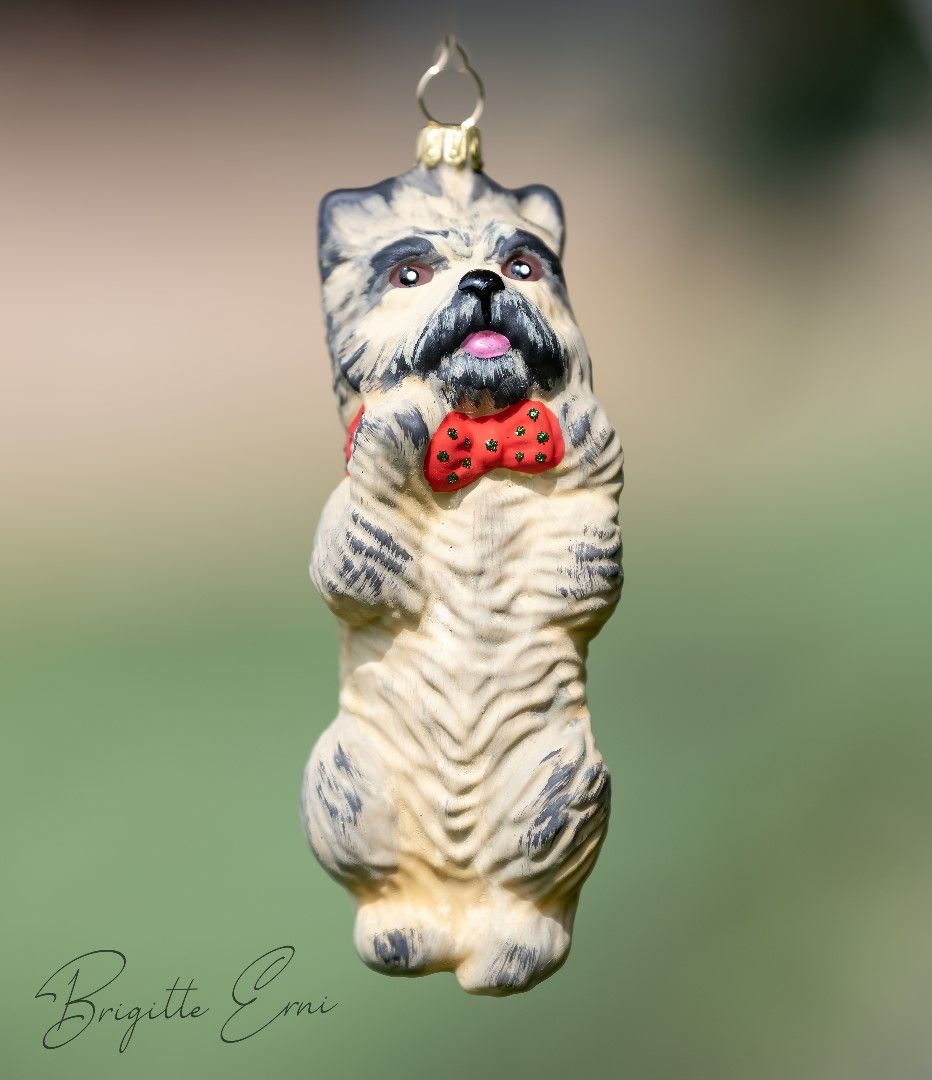 Cairn Terrier Farbe: Weizen, Christbaum-Dekoration aus Glas ca. 10 cm hoch